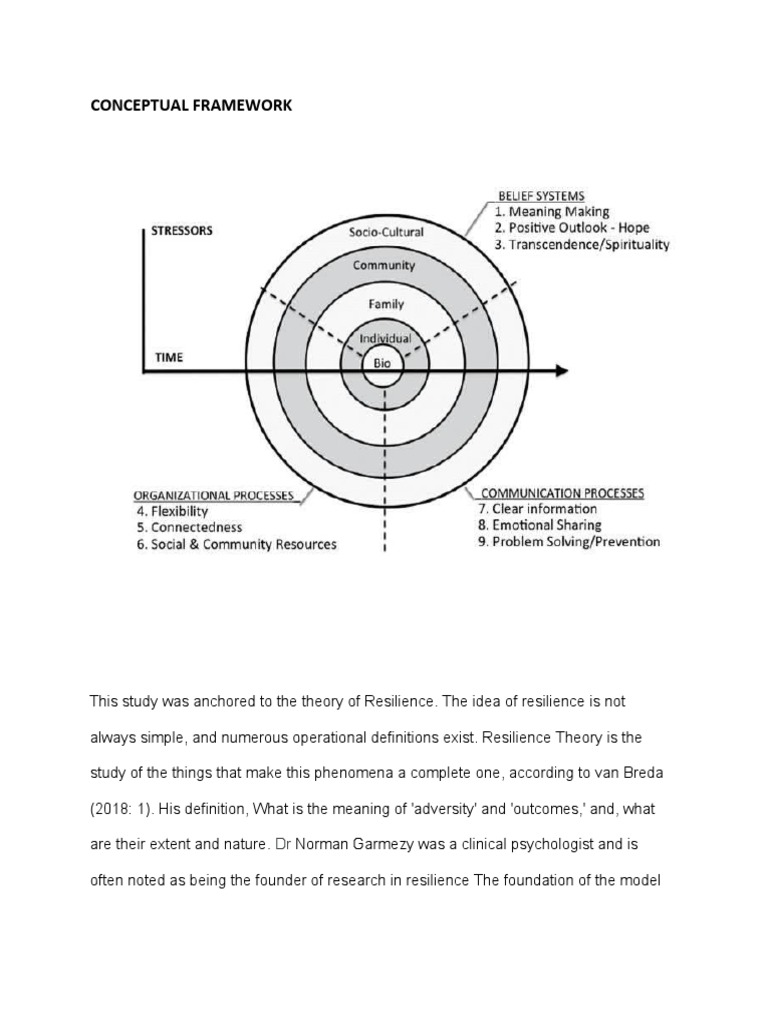 Resilience Theory Pdf
