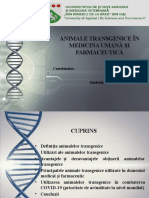 Animale Transgenice in Medicina Umana Si Farmaceutica