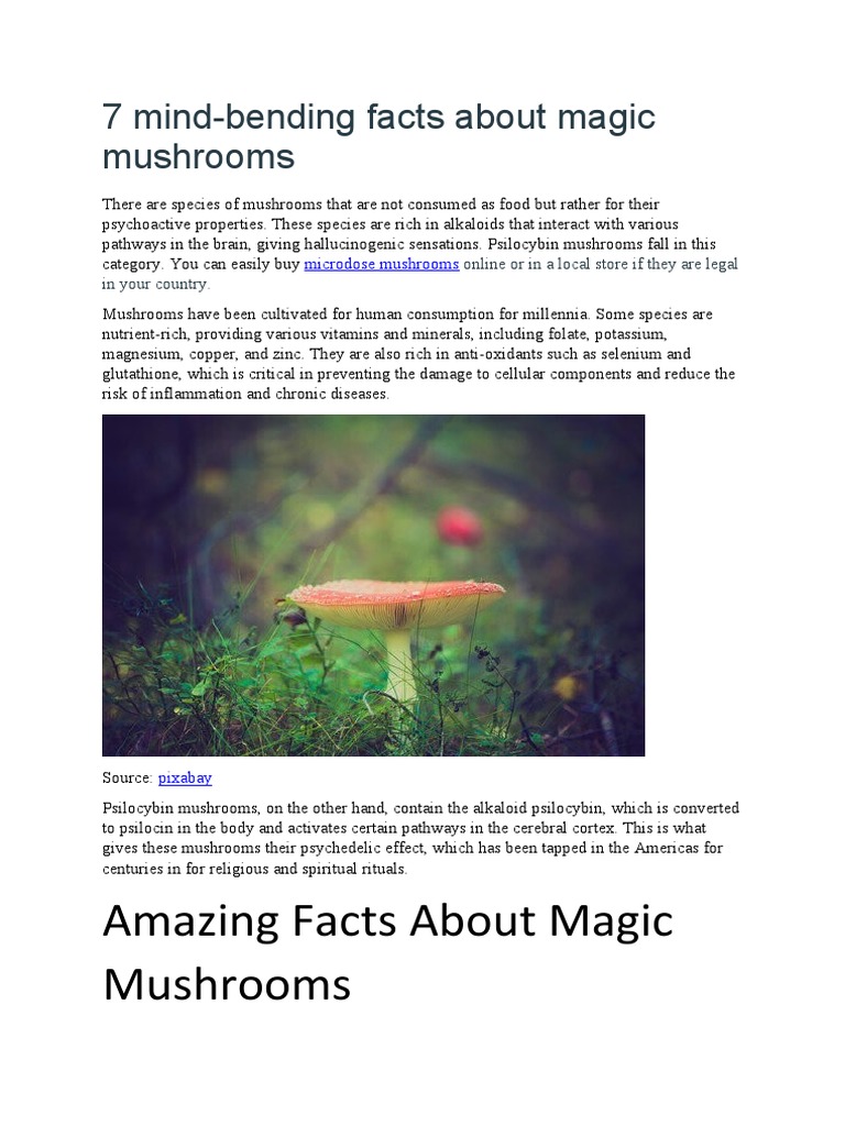 Mind Blowing Discovery Magic Mushrooms And The Fountain Of Youth - 3xmhkq0