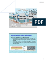 StrukturDanFungsiMembranSel-februari09