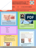 Infografia Ikeostomia e Intestino Grueso