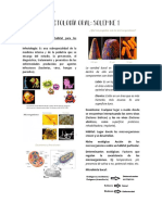 Infectología Oral