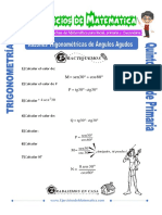 Actividades de Razones Trigonometricas de Angulos Agudos para Quinto de Primaria