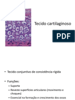 4-tecidocartilaginoso-100422051408-phpapp01