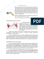 El Relato Policial PDF