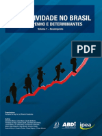 Produtividade No Brasil Desempenho e Determinantes - V. 1