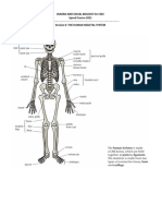 Human and Social Biology For Csec Speed Course 2021 - Session 6: The Human Skeletal System