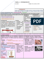 Tarea 4 F.C - Citoesqueleto