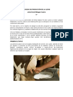 Proceso de Producción de La Leche