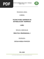 Práctica Profesionalizante I