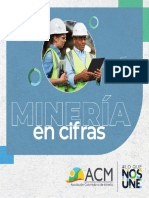 ACM - Minería en Cifras - 2021