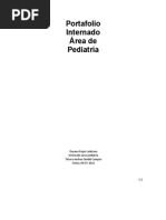 Portafolio Internado