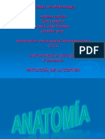 Patología corneal