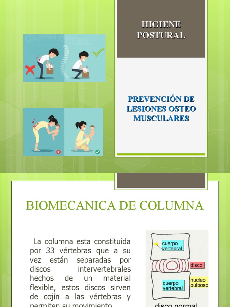 Higiene Postural - Manejo de Cargas | PDF | La columna vertebral ...