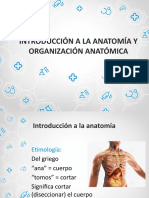 Introduccion Anatomia