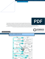 Generalidades Plantilla