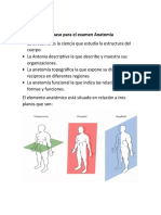 Anatomia Introducion