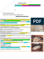 Lesiones Blancas