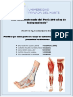 Practica 1o - Grupo 7 - Miercoles 20