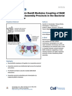 The Wd40 Protein Bamb Mediates Coupling of Bam Complexes Into Assembly Precincts in The Bacterial Outer Membrane