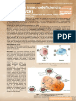 5. Human Immunodeficiency Virus (HIV) (Virus de La Inmunodeficiencia Humana (VIH))