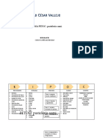 Diagrama de Pitoc