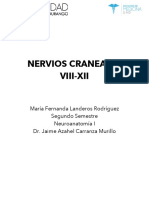 Nervios Craneales VIII-XII