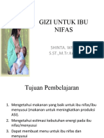 14. GIZI-PADA-IBU-NIFAS