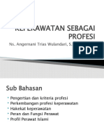 Keperawatan Sebagai Profesi