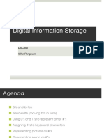 Digital Information Storage Representation