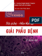 THỰC TẬP GPB PNT