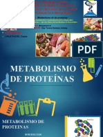 Metabolismo de Proteinas II