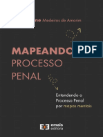 Mapeandoprocessopenal COMPLETO