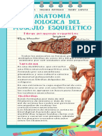 Anatomia Histologica Del Musculo Esqueletico