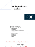 FEMALE and MALE REPRUDUCTION SYSTEM