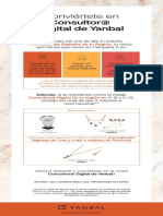 Programa_Consultoras_Digitales_para_consultoras_final