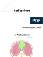Mediastinum: Download These Slides Free of Cost From
