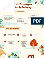 Cultivos Energeticos BIOCOMBUSTIBLES