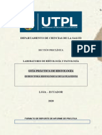 Guia Nro 4. 2B PDF