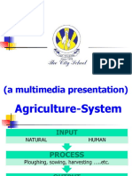 A Multimedia Presentation