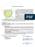 RESUMO Metabolismo Das Lipoproteínas