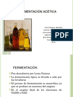 Fermentacion Acetica