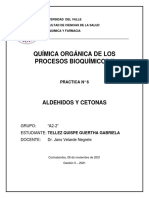 P.6 ALDEHIDOS Y CETONAS_TELLEZ
