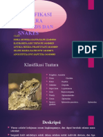 A - Klasifikasi Tuatara Lizard Snake