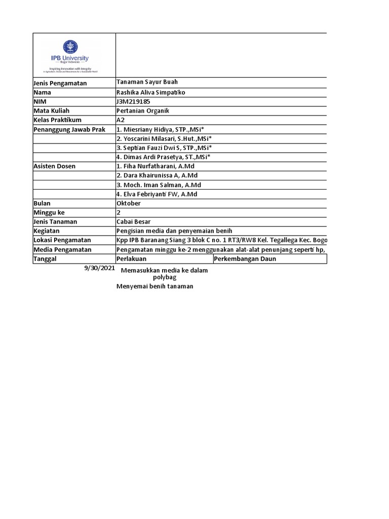 A2 - J3M219185 - Rashika Aliva | PDF