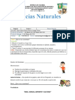 Naturales Primer Periodo 4 de Primaria