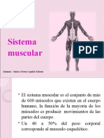 Sistema Muscular