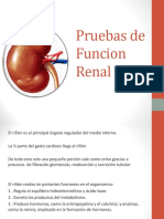 Pruebas de Funcion Renal