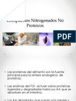 Compuestos Nitrogenados No Proteicos