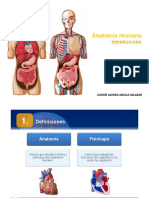 Introduccion A La Anatomia